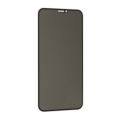 Staklena folija glass PRIVACY 2.5D full glue za Iphone X/XS/11 Pro crna (MS).