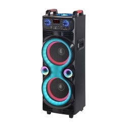 Zvucnik Bluetooth NDR-1100 100W 2*10 inca sa dva mikrofona crni (MS).
