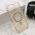 Futrola MagSafe HARMONY za iPhone 16 Pro Max (6.9) zlatna (MS).