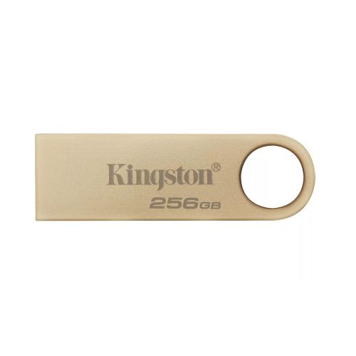 USB Flash memorija Kingston Data Traveler 3.2 256GB DTSE9G3/256 (MS).