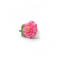 Kapica Handsfree slušalice 3,5 mm cvet roze.