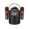 Zvucnik Bluetooth Y-11 sa 2 mikrofona crni (MS).
