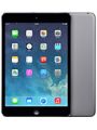 iPad mini 2.